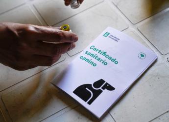 Jornada de vacunación canina en el Club Olimpo