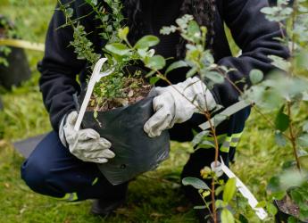 Plantación de bosques urbanos en el Jardín Botánico , 19 de Octubre 2023