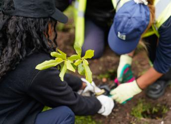 Plantación de bosques urbanos en el Jardín Botánico , 19 de Octubre 2023