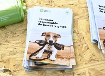 Actividad educativa sobre efectos nocivos de la pirotecnia