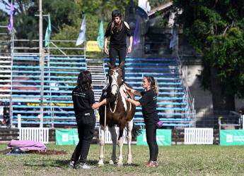 Taller de sensibilización "Hay otra manera de sentir a los caballos"