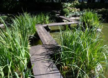 Obras en el Jardín Japonés