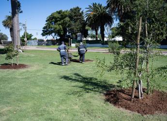 Plantación de árboles en conmemoración del Día de la Nación Charrúa y la Identidad Indígena de Uruguay