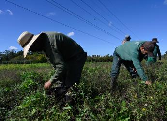 Trabajadores Rurales, dia del trabajador Rural, 30 de abril 2024