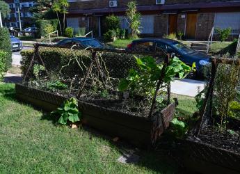 Cooperativa sello Montevideo Más Verde   