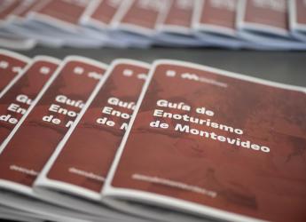 Del Enclave al Entramado: Presentación de la guía de Enoturismo para Operadores Turísticos, 10 de Diciembre de 2024