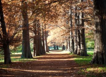 Muestra fotográfica 115 años del Jardín Botánico
