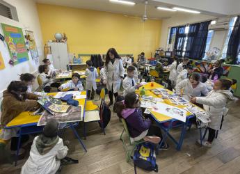 Proceso de trabajo con grupo de la Escuela nº 31. Julio de 2023