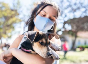 Jornada de adopción de animales de compañia organizada por la Asociación Animalista LIBERA