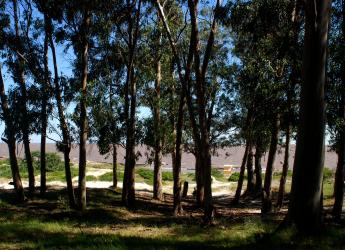 Parque Punta Espinillo