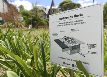 Jardín de lluvia en barrio Carrasco