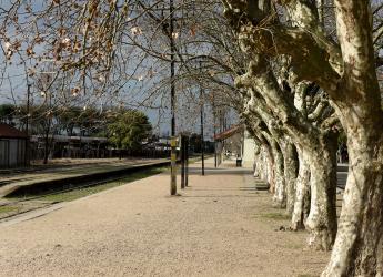 Recorrida por el barrio Peñarol