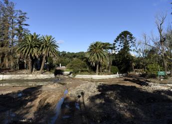 Vaciado y limpieza del lago del Parque Rodó