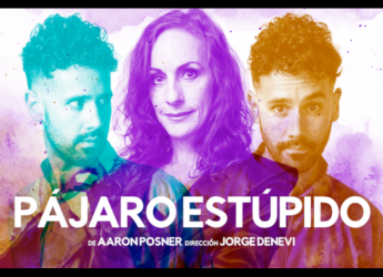 Afiche de difusión de Pájaro Estúpido