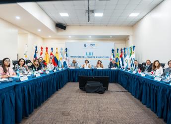 Reunión de UCCI 