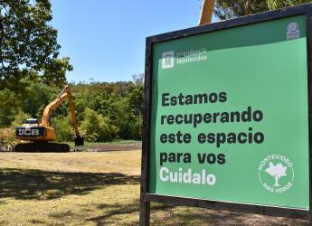 Limpieza del lago del parque Rivera