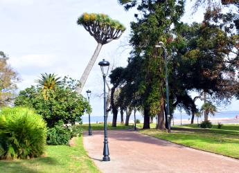 Montevideo Mejora Colocacion Luminarias  Parque Rodo