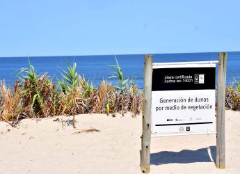 Conservación de Dunas
