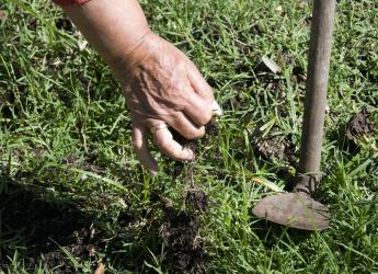 Curso de jardinería en Cedel Carrasco Norte