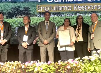 Distinción a Montevideo como el mejor destino enoturístico responsable