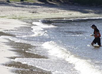 Monitoreo de la calidad del agua en playas