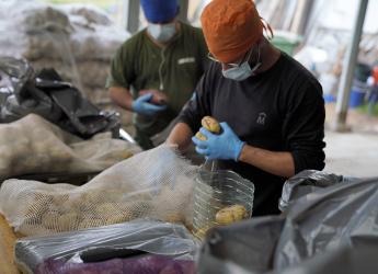 Manipulación de alimentos 