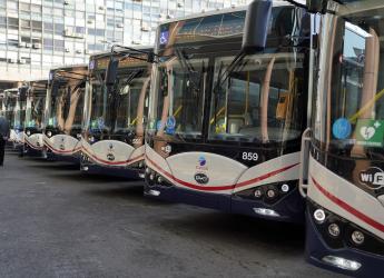Presentación de nuevos ómnibus eléctricos
