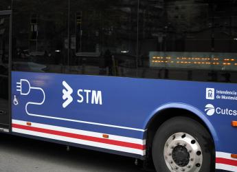 Nuevas líneas de ómnibus eléctricos