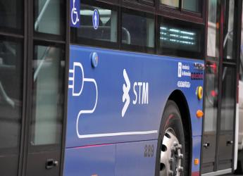 Nuevas líneas de ómnibus eléctricos
