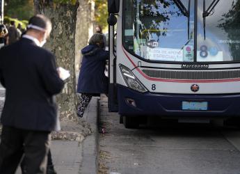 Ómnibus de la flota de apoyo al STM