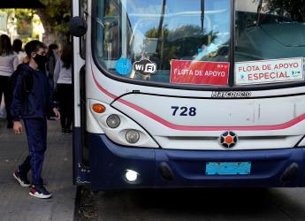 Ómnibus de la flota de apoyo al STM