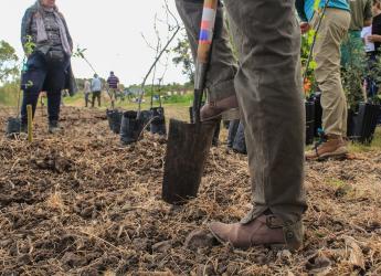 Plantación de frutales ecológicos en el PAGRO