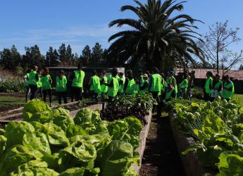 Recorrida por Ruta de la basura