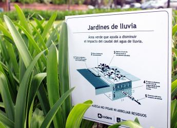 Jardín de lluvia 