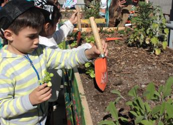 Huerta inclusiva en Parque de la Amistad 