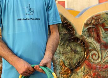 Montevideo voluntario
