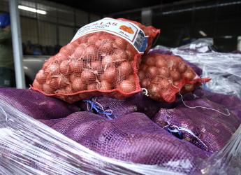 Canastas alimentarias