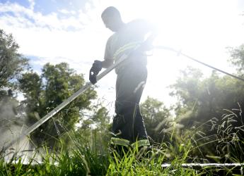Fumigación ecológica