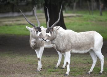 Parque Lecocq