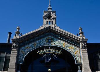 mercado agricola