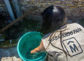 Prevención del Dengue. Toma de muestras de agua .