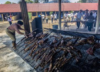 Semana Criolla 2016