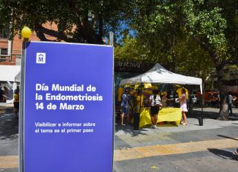 Día Mundial de la Endometriosis
