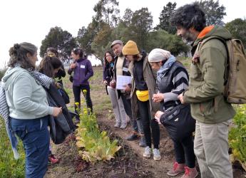 Curso teórico práctico de la Escuela Abierta de Agroecología